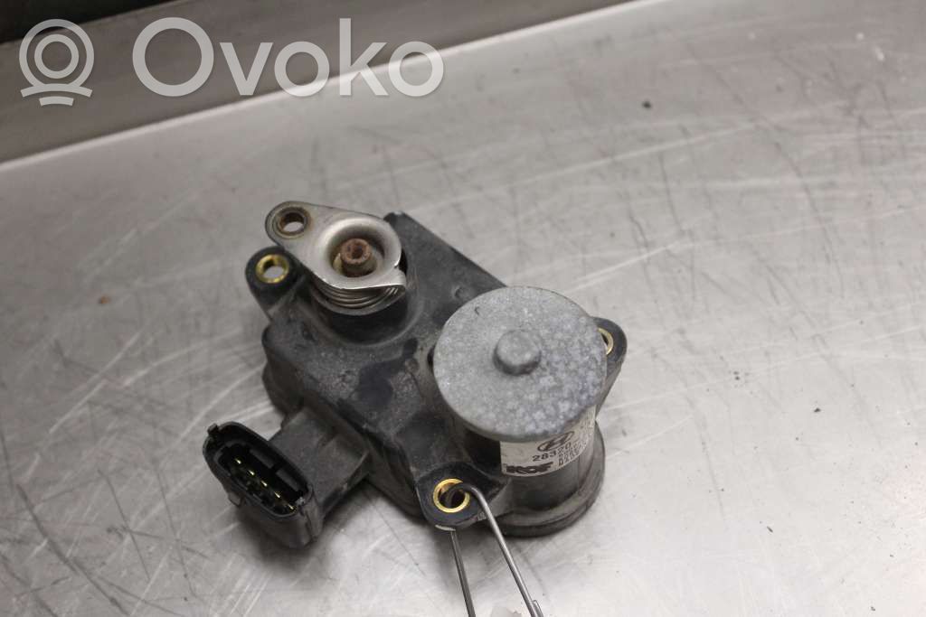 Accelerator pedal position sensor   283202A400