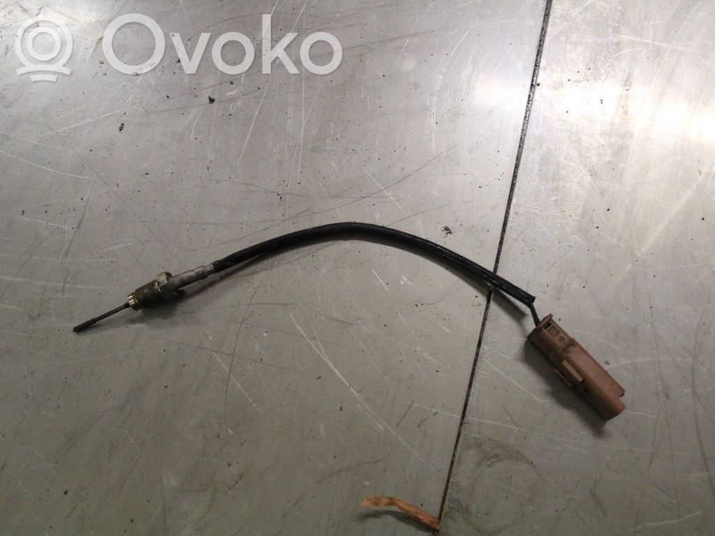 Coolant temperature sensor   1618LS