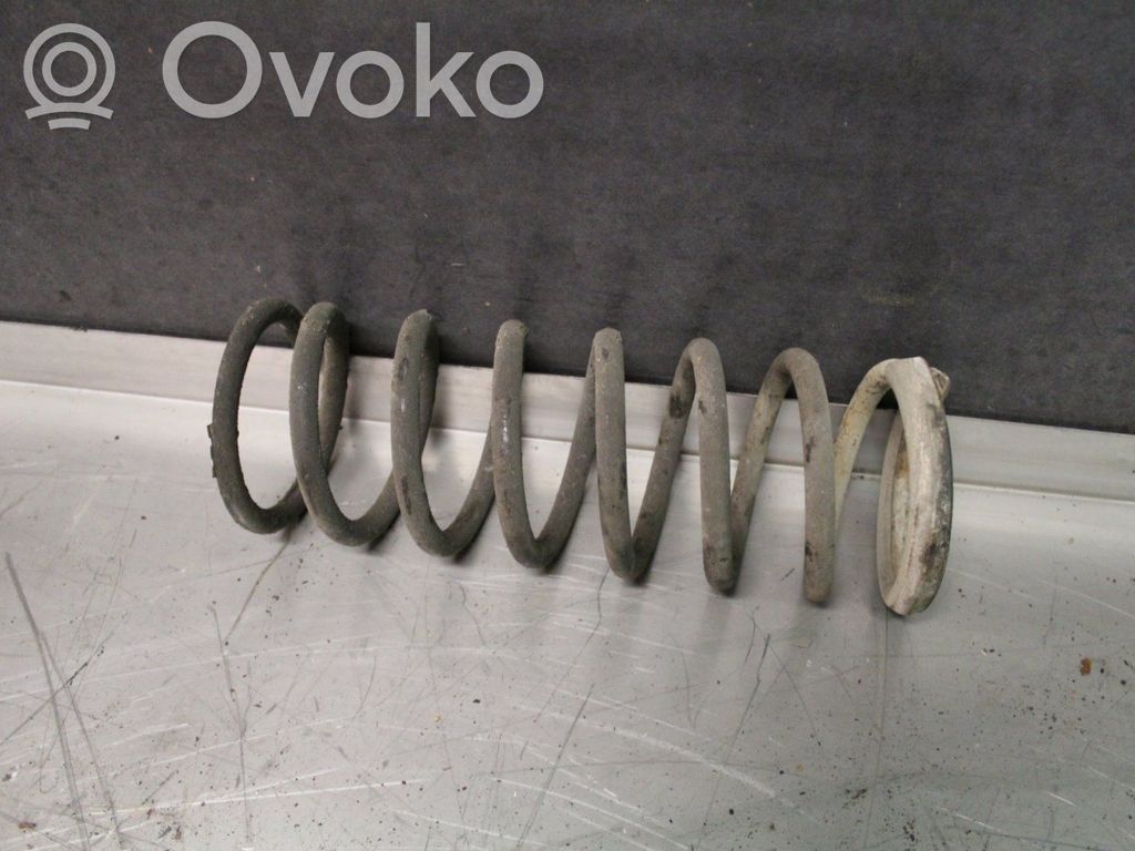 Muelle espiral trasero