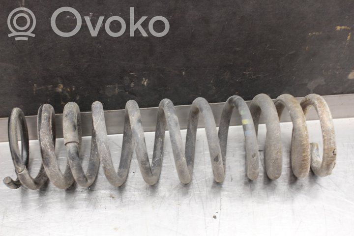 Rear coil spring   1381919