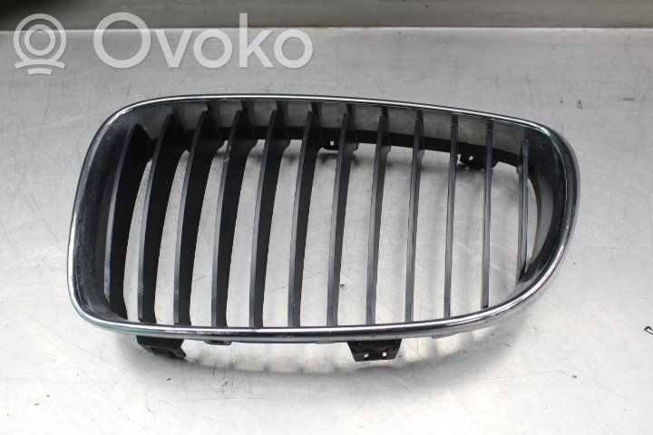 Front bumper lower grill