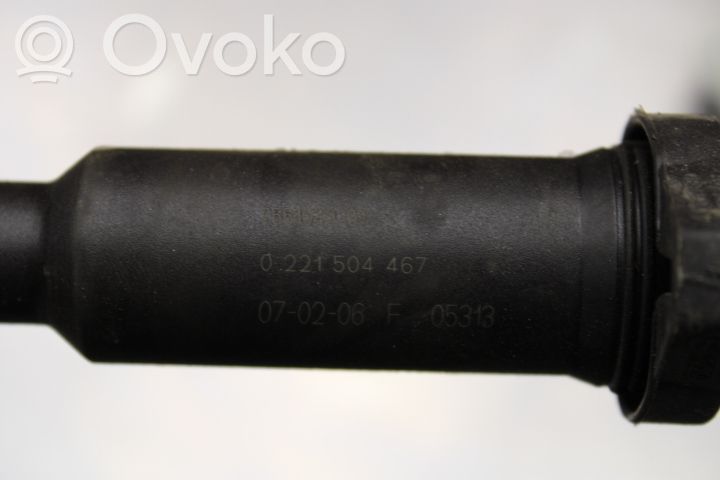 High voltage ignition coil   0221504467
