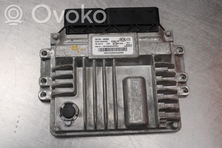 Injection control unit/module   391302A302