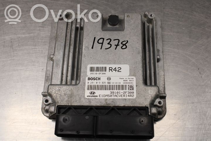 Hyundai Santa Fe Injection control unit/module 