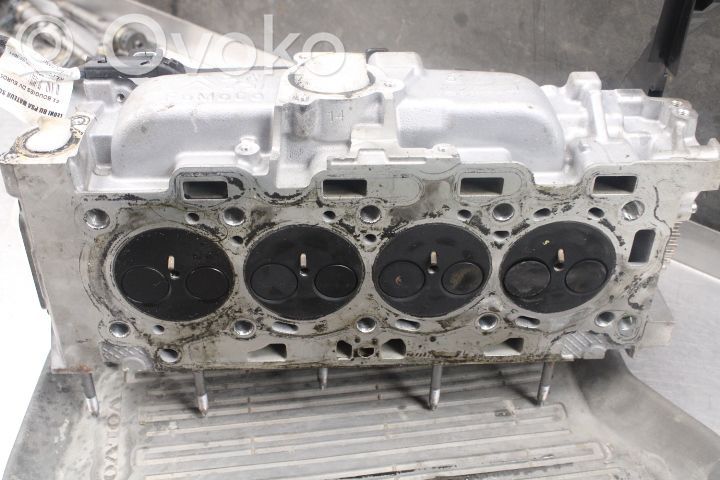 Galva   36001473