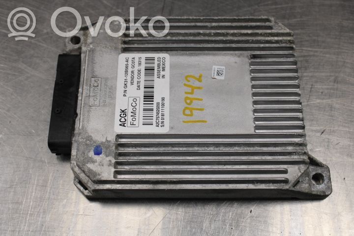 Ford Transit -  Tourneo Connect Other control units/modules 