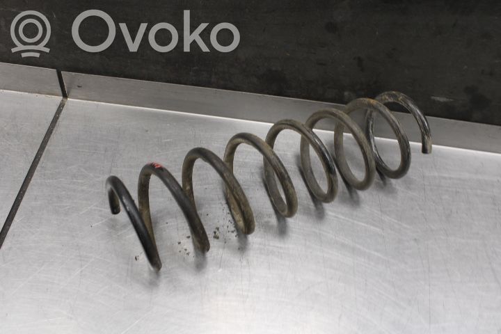 Rear coil spring