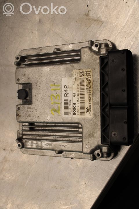 Hyundai Santa Fe Injection control unit/module 