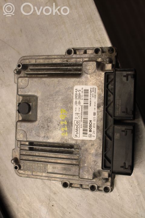 Ford Transit -  Tourneo Connect Injection control unit/module 