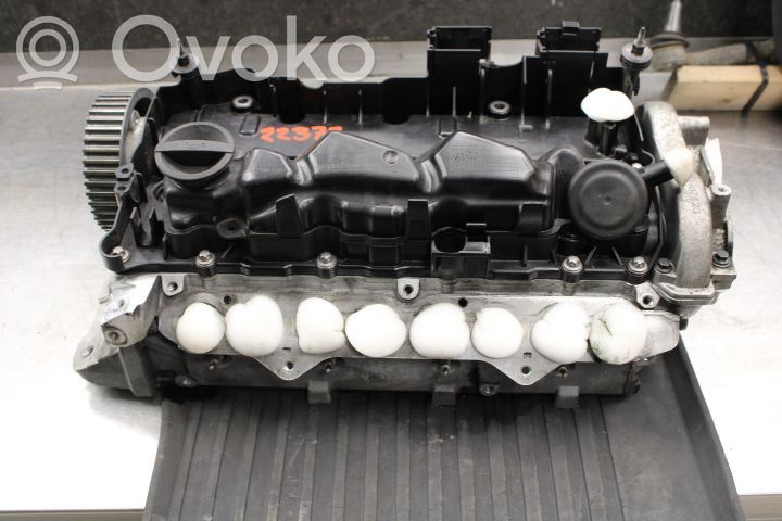Engine head   P31480506