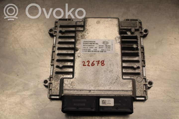 KIA Optima Injection control unit/module 