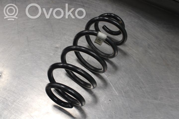 Muelle espiral trasero
