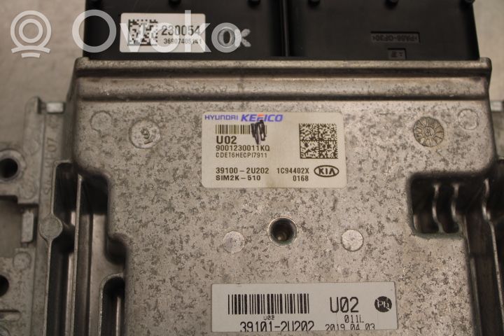 KIA Ceed Steuergerät Einspritzanlage 