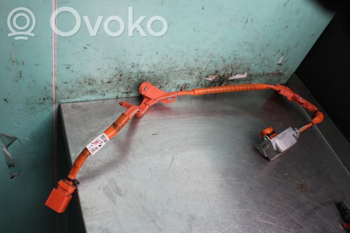 Kabel wysokiego napięcia   200819,63696AB