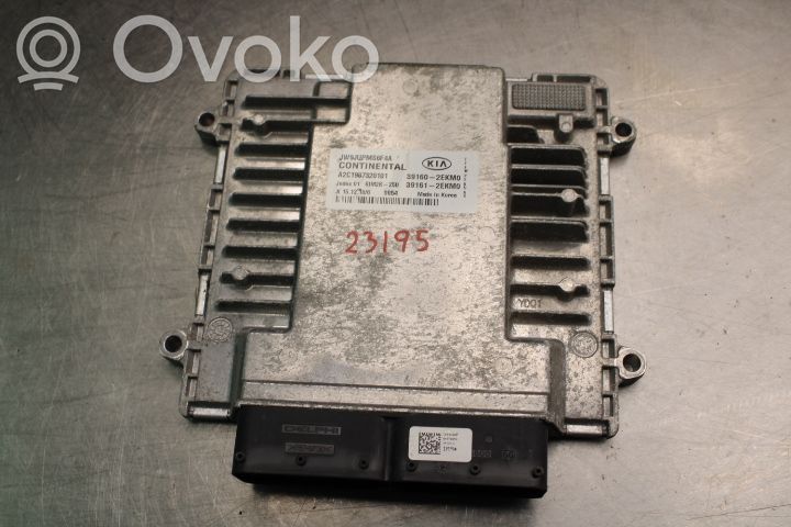 KIA Optima Injection control unit/module 