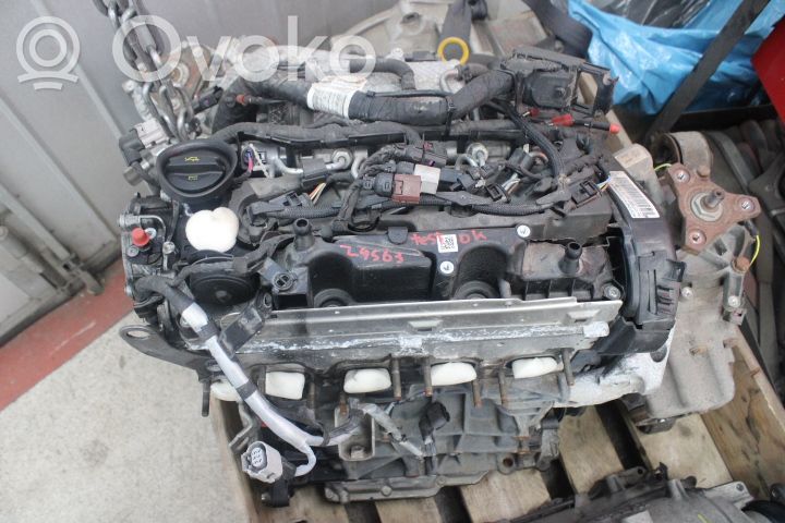 Volkswagen T-Roc Engine 