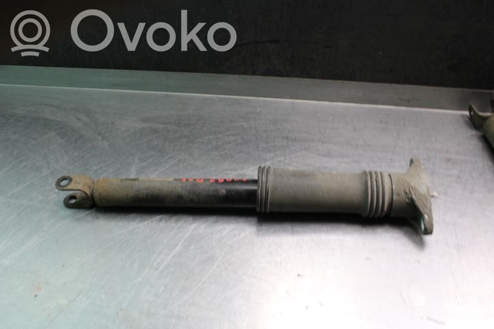 Stoßdämpfer hinten