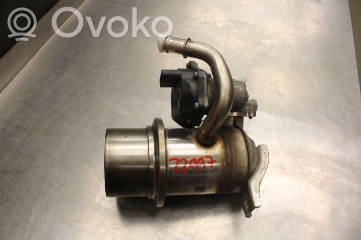 Volkswagen PASSAT B8 Valvola EGR 