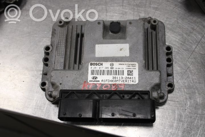 Injection control unit/module   0281017206,391132A411