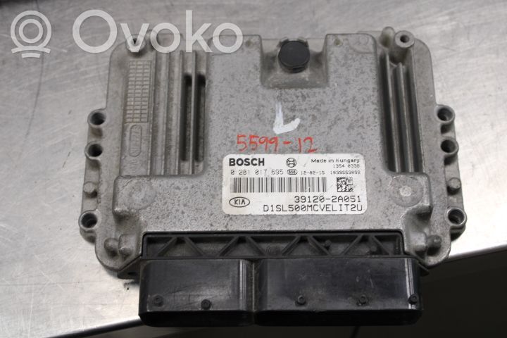 Unité de commande / module d'injection   0281017695,391202A051