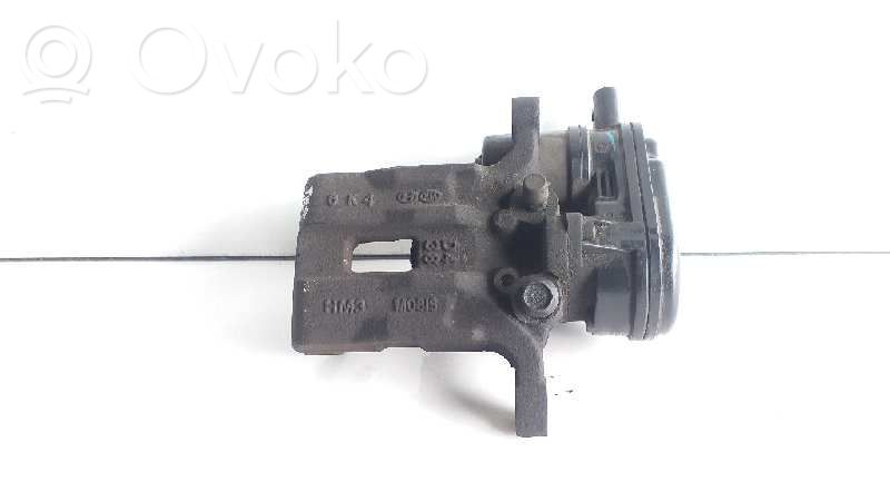 Takajarrusatula   A558237700
