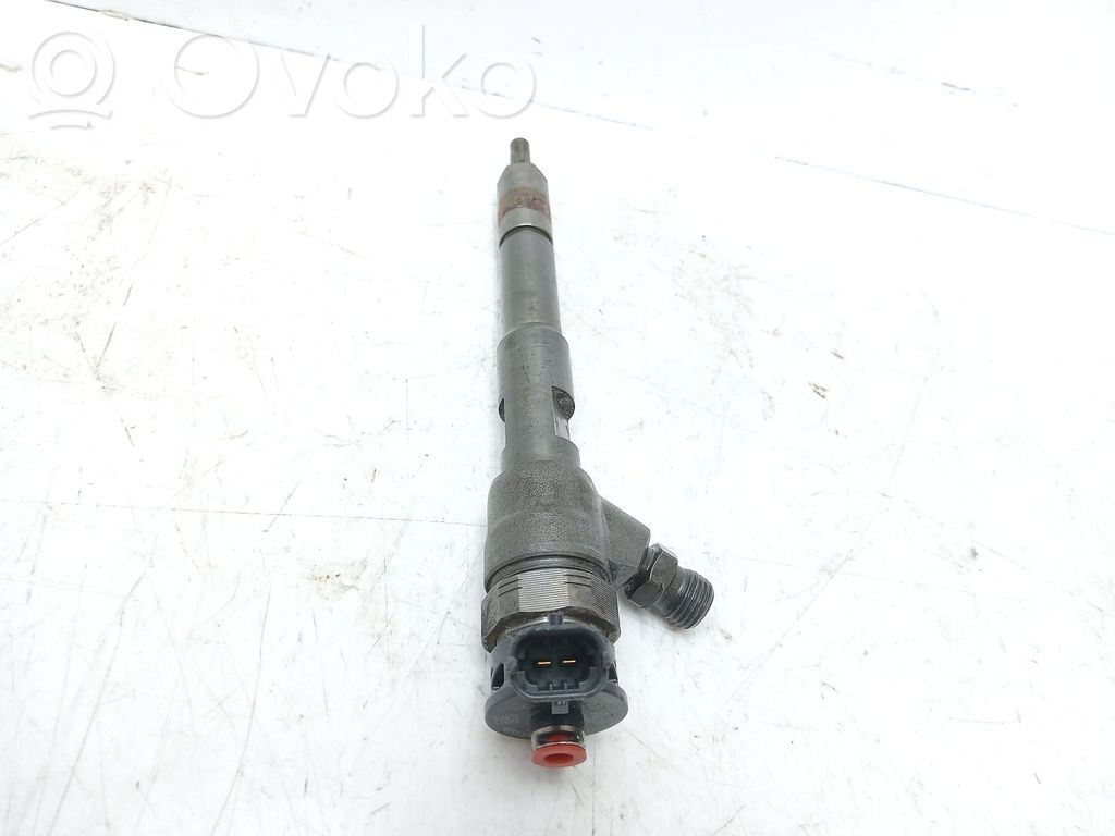 Inyector de combustible   445110485,H8201108033