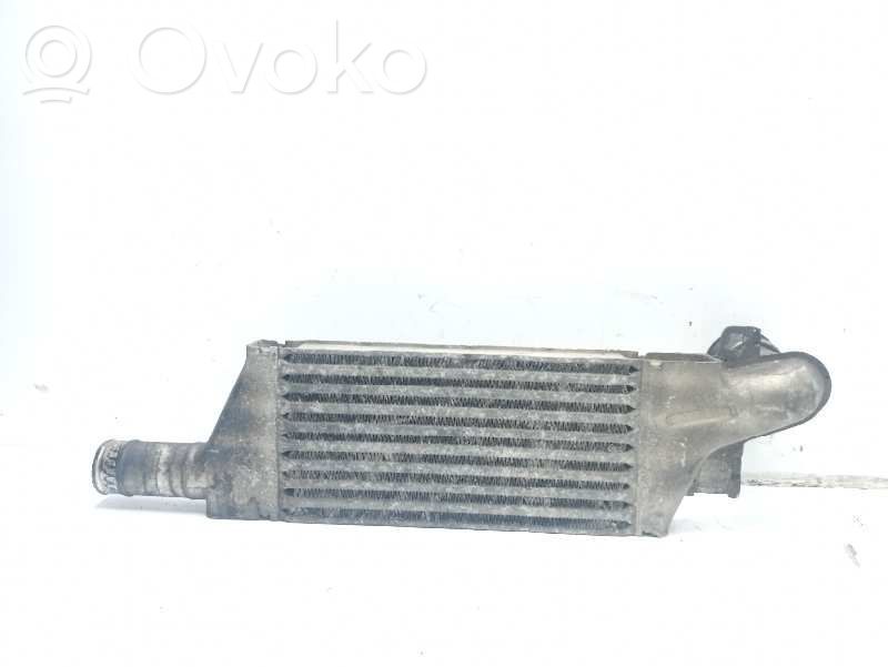 Interkūlerio radiatorius   1300410
