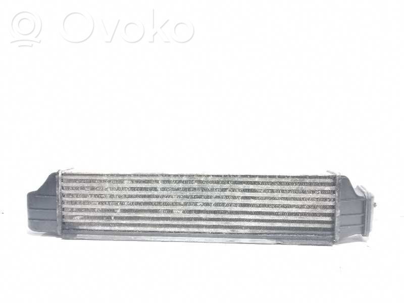 Radiador intercooler   17517786351