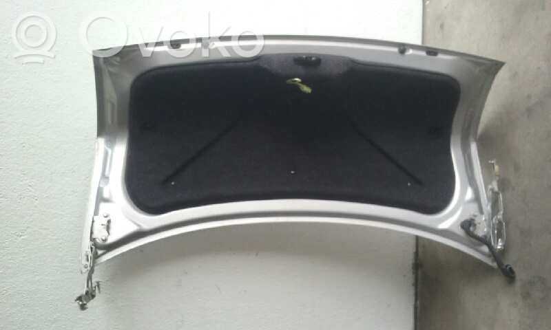 Tailgate/trunk/boot lid