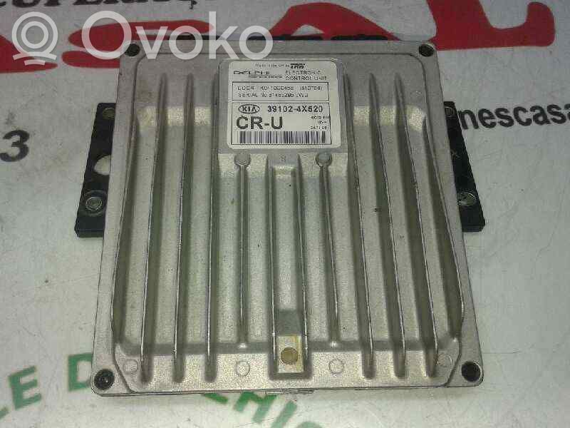 KIA Carnival Engine control unit/module 