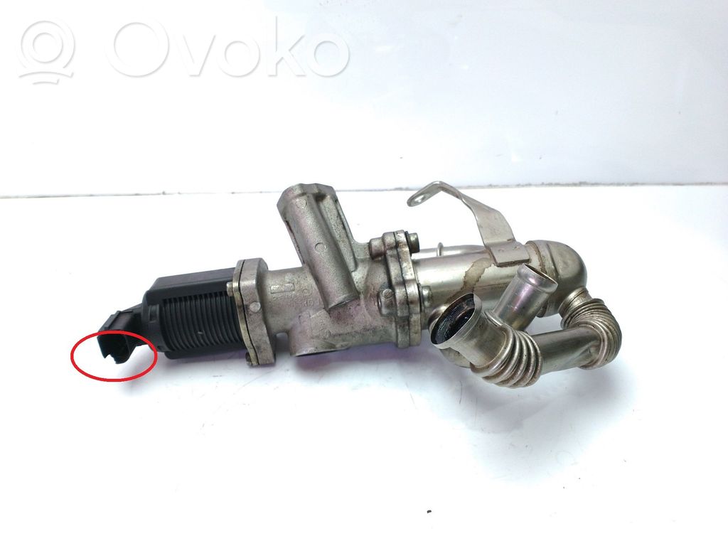 Válvula EGR   50024007,03T217