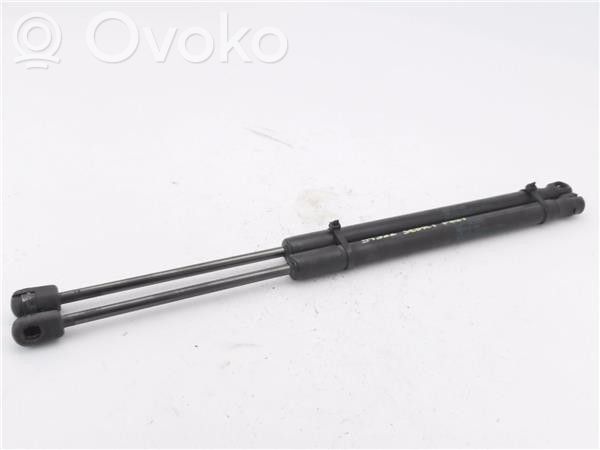 Fiat Sedici Tailgate/trunk strut/damper 