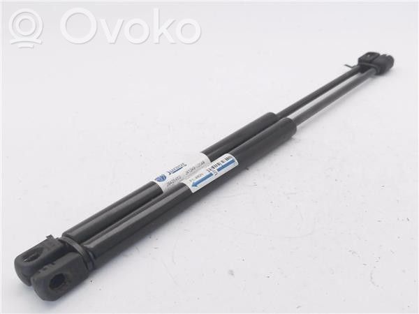 Citroen C3 Pluriel Ammortizzatore portellone posteriore/bagagliaio 
