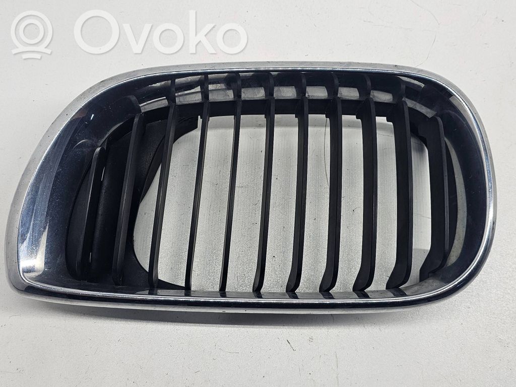 BMW 3 E46 Front grill 