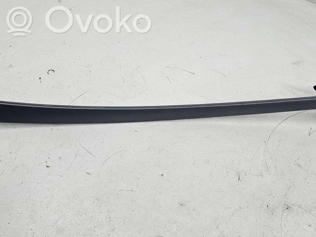BMW 7 E65 E66 Other rear door trim element 