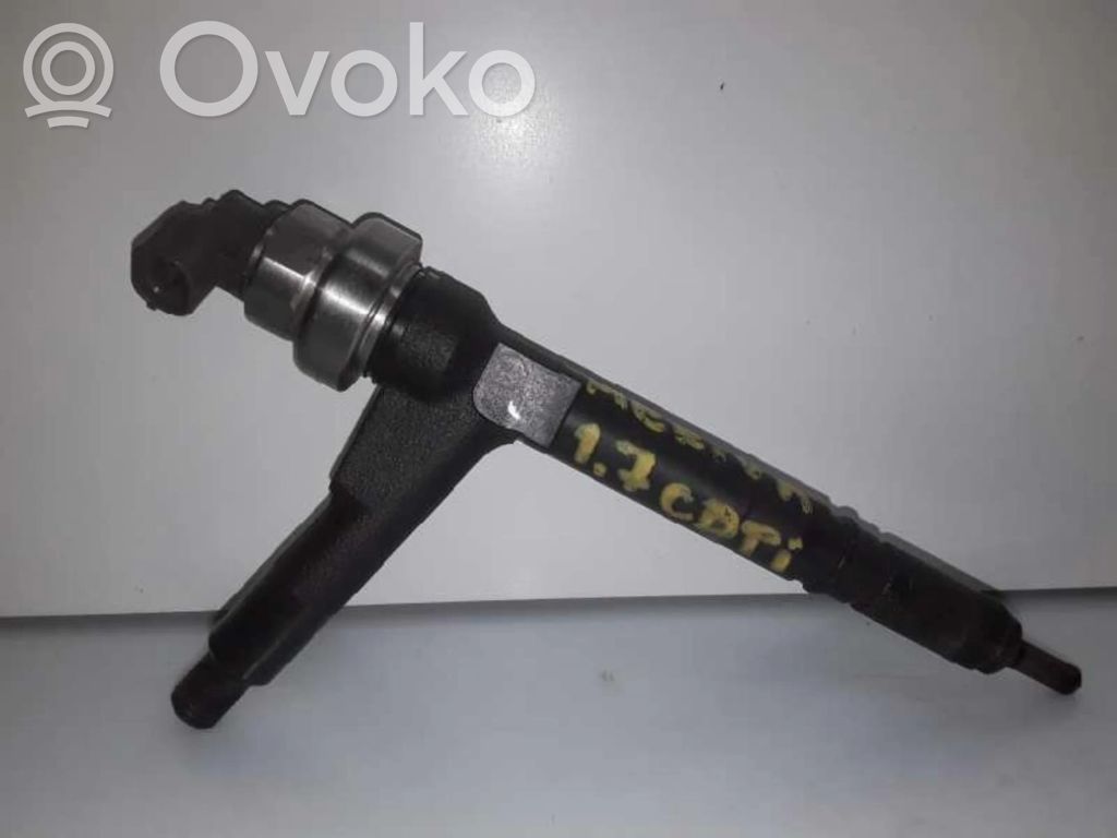 Injector combustibil   8973138612