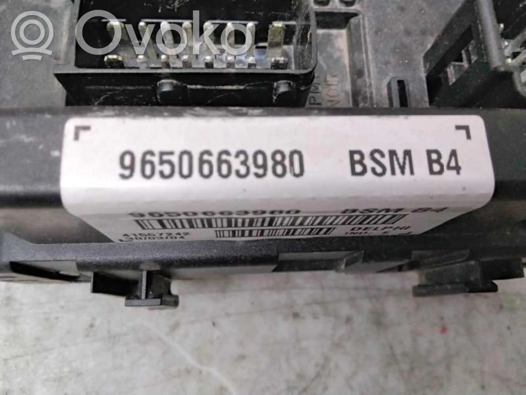 Peugeot 206+ Modul siguranțe 