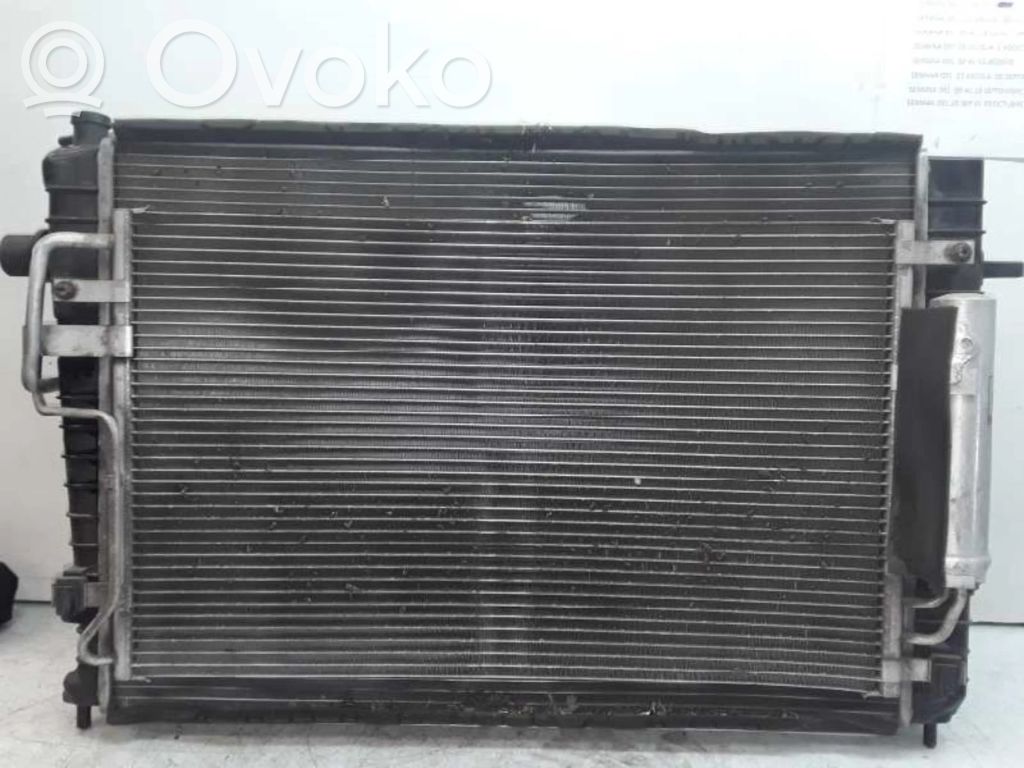 KIA Sportage Radiator răcire A/C (condensor) 
