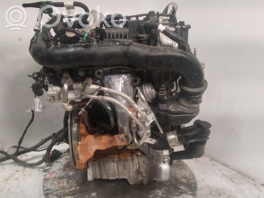 Motor   M0DC
