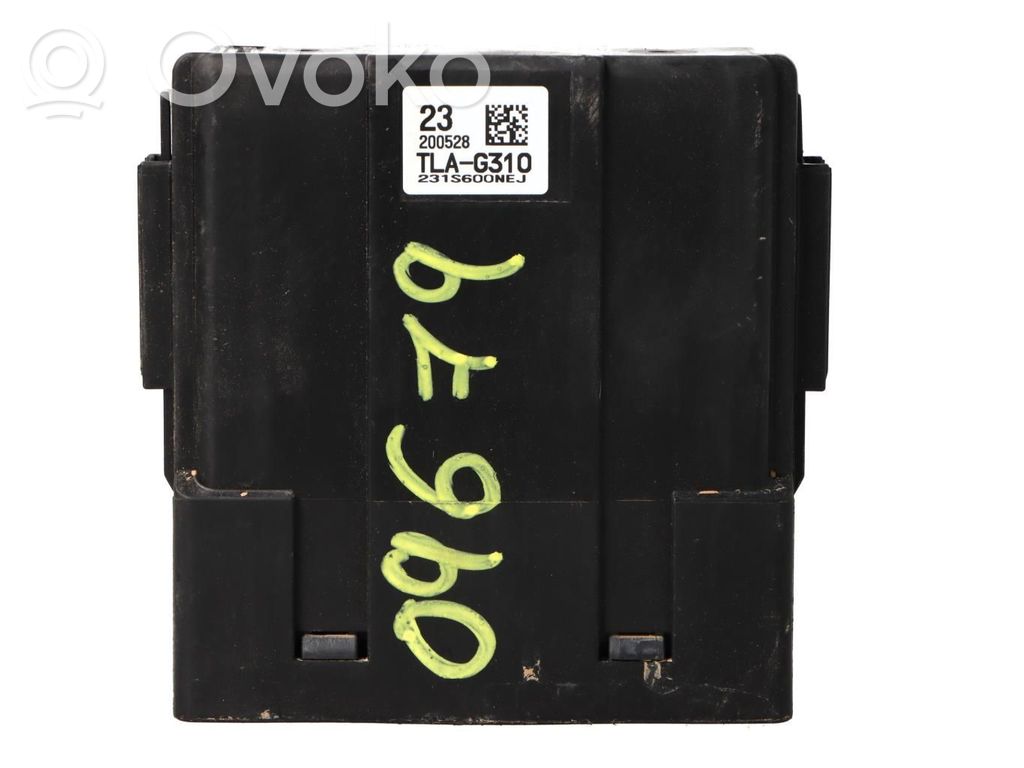 Engine control unit/module   TLAG310