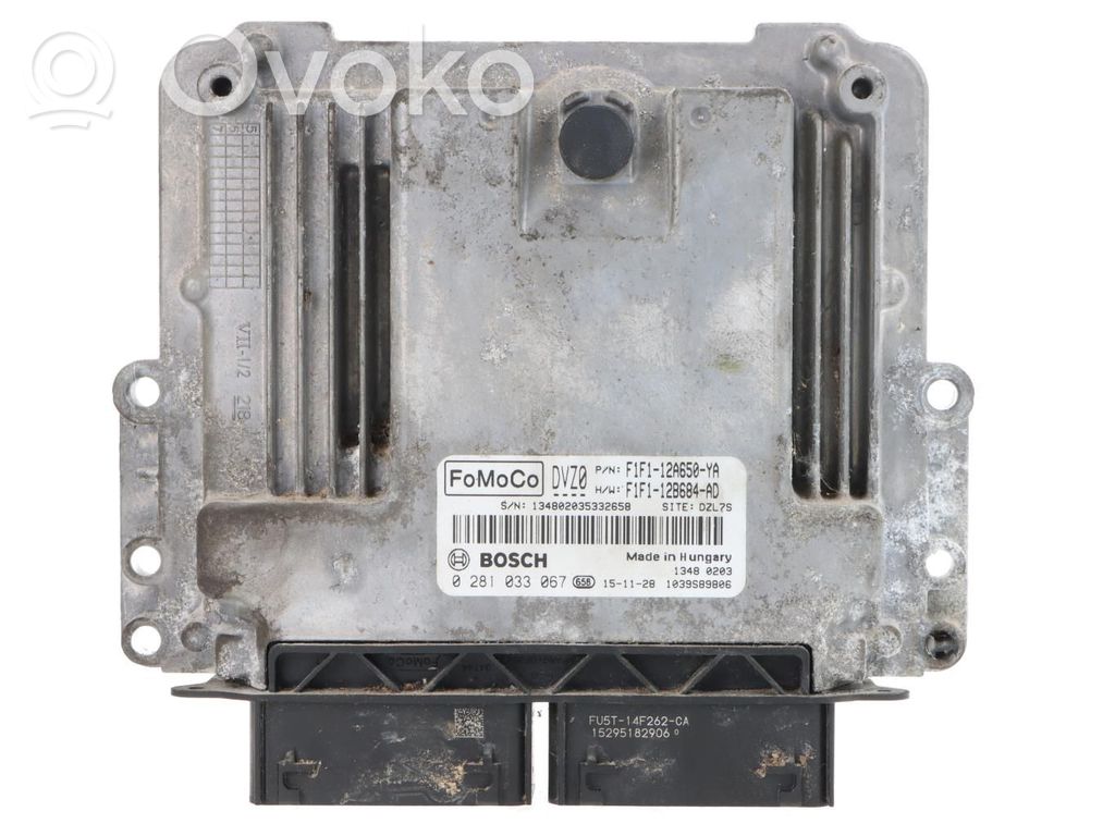 Engine control unit/module ECU   F1F112A650YA