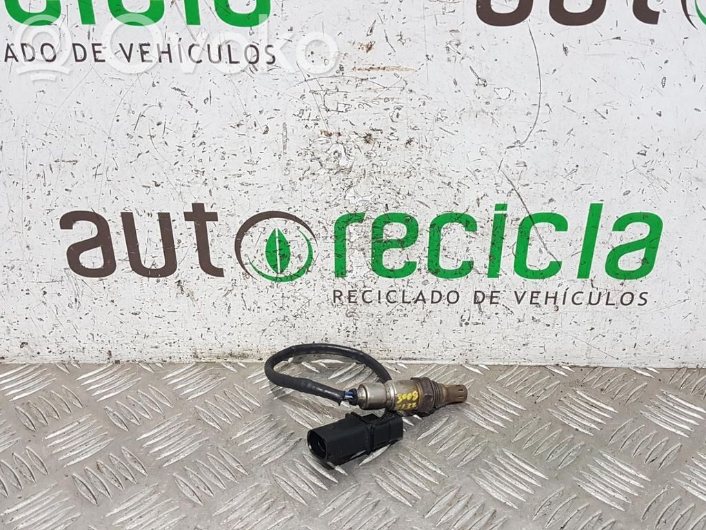 Sonda lambda   9783265480