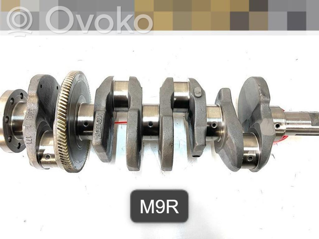 Crankshaft   0863