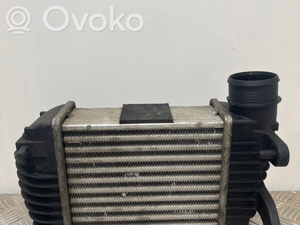 Audi A6 S6 C6 4F Interkūlerio radiatorius 