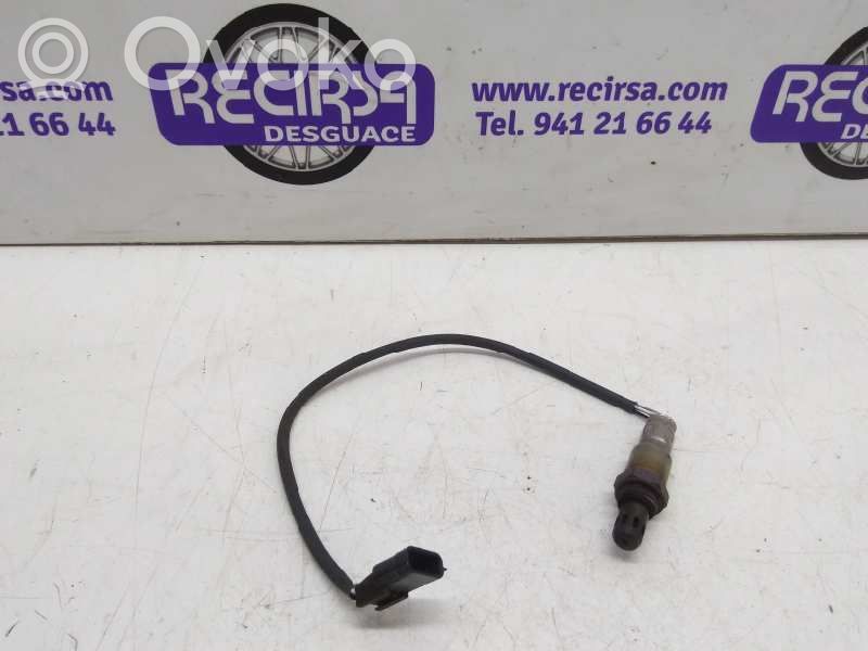 Sonde lambda   H8200495791,184