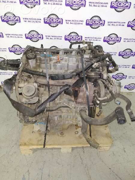 Motor   N22B1,10002RL1G00