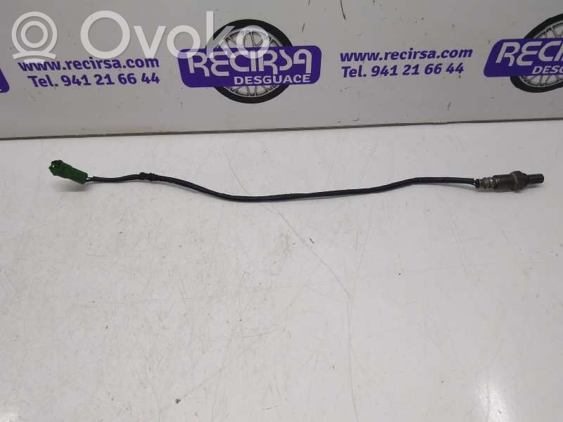 Sonde lambda   1491009050