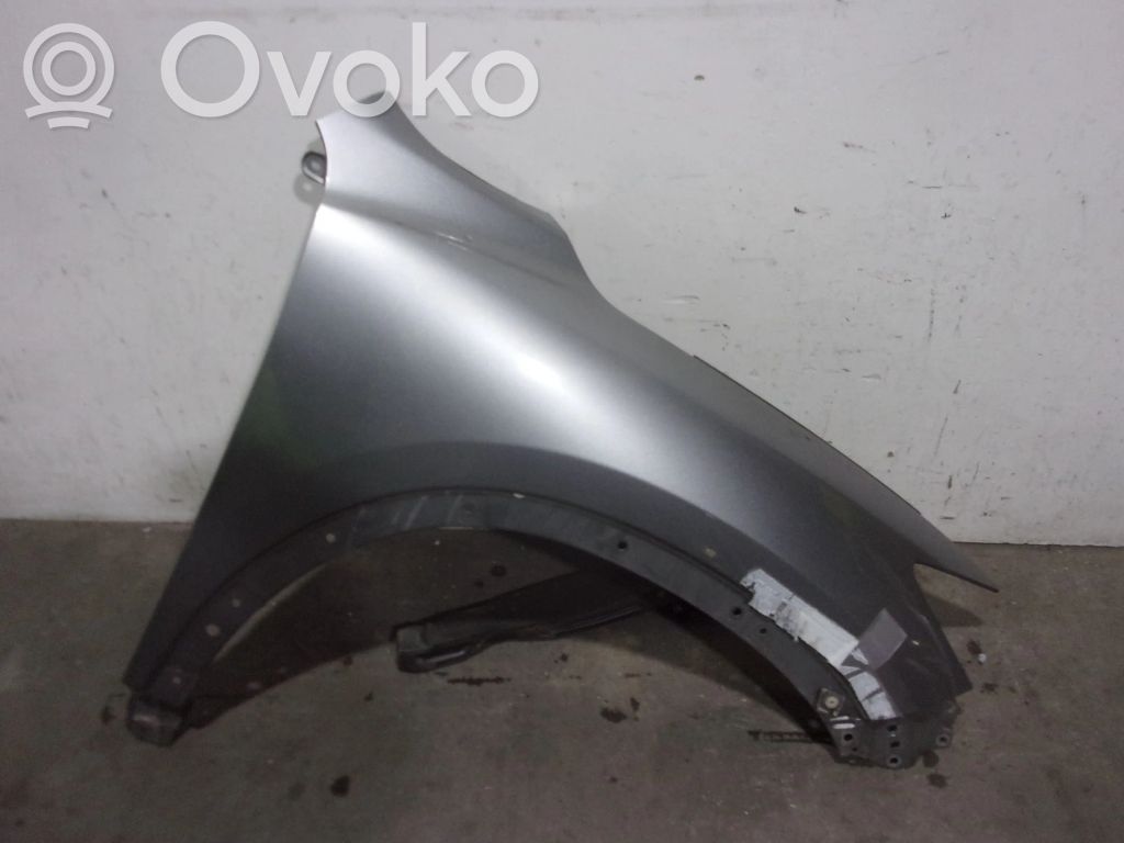 Guardabarro   KD5352111A,GRIS