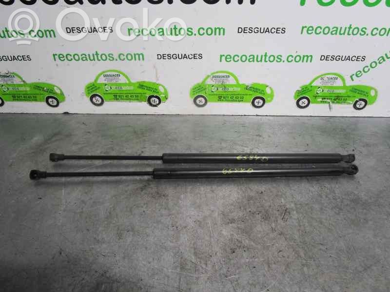 Peugeot 607 Takaluukun tuen kaasujousi