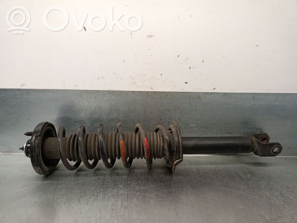 Honda Accord Stoßdämpfer hinten